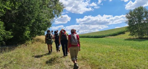 GBG Gesellschaft für ganzheitliche Persönlichkeitsentwicklung und betriebliche Gesundheitsförderung GmbH - Bildungsurlaub Fasten, Detox, Yoga, Wandern und Stressbewältigung in Theorie und Praxis