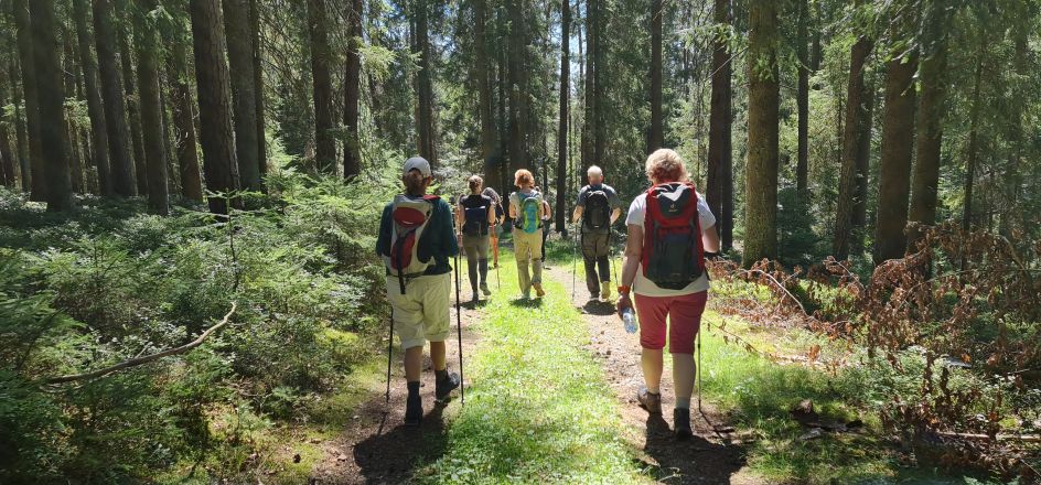 GBG Gesellschaft für ganzheitliche Persönlichkeitsentwicklung und betriebliche Gesundheitsförderung GmbH - Bildungsurlaub Fasten, Detox, Yoga, Wandern und Stressbewältigung in Theorie und Praxis