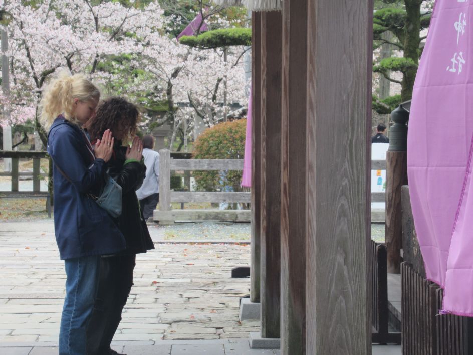 Meiji Academy - Bildungsurlaub Bildungsurlaub Japanese Language and Culture in Fukuoka (5 days, all levels; 10 days possible)