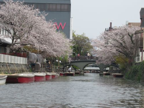Meiji Academy - Bildungsurlaub Bildungsurlaub Japanese Language and Culture in Fukuoka (5 days, all levels; 10 days possible)