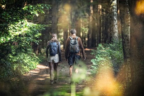 Natürlich Yoga - Bildungsurlaub Mehr Resilienz durch basische Ernährung & Yoga im 4* Wellnesshotel im Bayrischen Wald