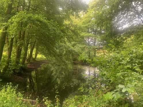 Natürlich Yoga - Bildungsurlaub Mehr Resilienz im Berufsalltag mit Atemübungen, Yoga  & Meditation  im 4 Sterne Wellnesshotel im Westerwald