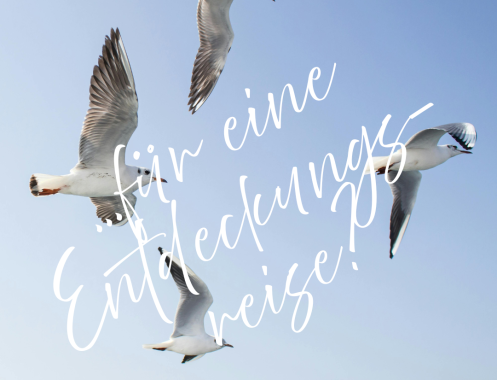 Holistic Living by Sonia Dimitrow - Bildungsurlaub Ganzheitlich leben, ganzheitlich gesund: Stressregulation, Resilienz und innere Balance für Beruf & Alltag