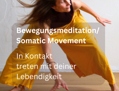 Holistic Living by Sonia Dimitrow - Bildungsurlaub Urbane Bildungszeit: Ganzheitlich leben, ganzheitlich gesund: Stressregulation, Resilienz und innere Balance für Beruf & Alltag