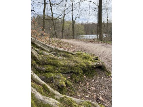 Rückenschule & Yoga Bremen - Bildungsurlaub 2027/Yoga & Wandern im historischen Kloster Loccum – Auszeit mit Bildungsurlaub