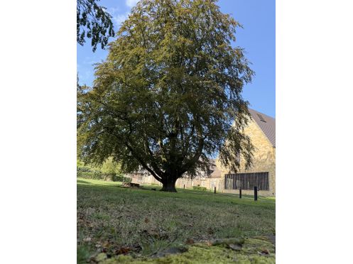 Rückenschule & Yoga Bremen - Bildungsurlaub 2027/Yoga & Wandern im historischen Kloster Loccum – Auszeit mit Bildungsurlaub