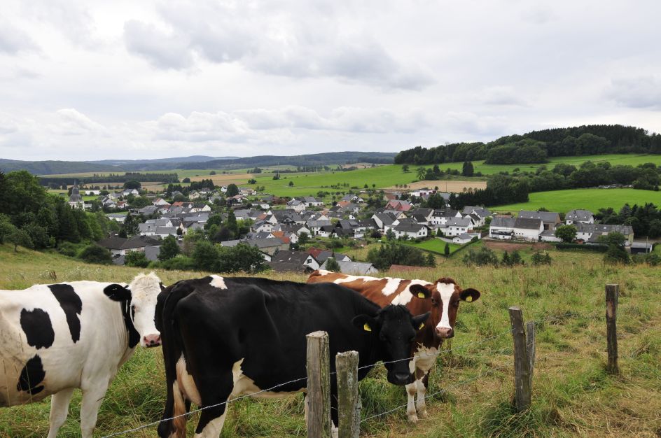 Vulkanhotel Steffelberg Martina Berg e.K. - Bildungsurlaub Wege zum Ich  mit Heilfasten nach Dr. Otto Buchinger