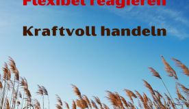 kurs