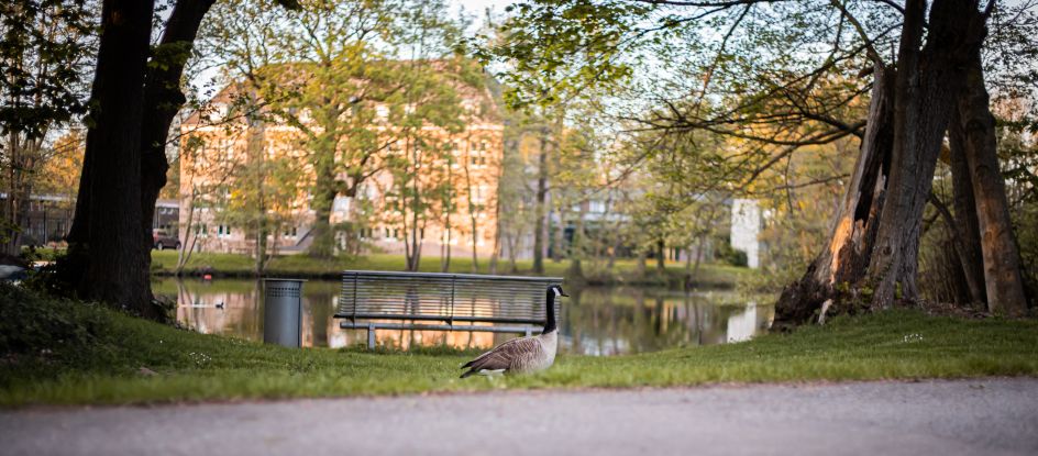 Wasserburg Rindern - Katholisches Bildungszentrum - Bildungsurlaub Alles eine Frage der Haltung – Stark und leistungsfähig im Berufsalltag