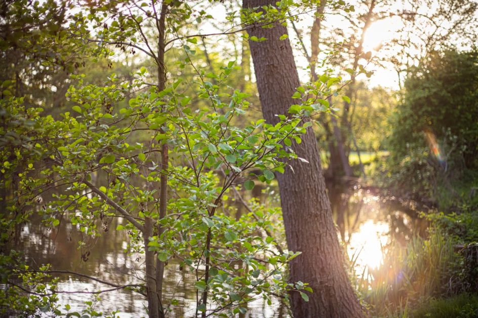Wasserburg Rindern - Katholisches Bildungszentrum - Bildungsurlaub Alles eine Frage der Haltung – Stark und leistungsfähig im Berufsalltag