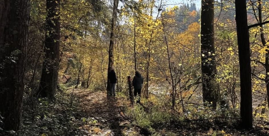 A wie achtsam - Bildungsurlaub Achtsamkeit & Stressbewältigung im Kloster: Methoden zur Steigerung von Konzentration und Resilienz im Berufsalltag. Sofortige Entschleunigung für gestresste Menschen.