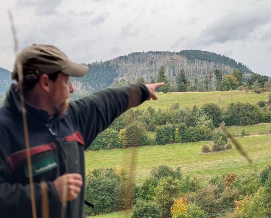 Bildungshaus Zeppelin & Steinberg e.V. - Bildungsurlaub Der Harz – Vom Industriegebiet zum Nationalpark – auch eine Zeitreise