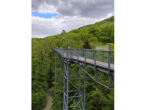 Bildungshaus Zeppelin & Steinberg e.V. - Bildungsurlaub Tourismus und Nachhaltigkeit im Harz