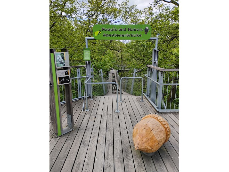Bildungshaus Zeppelin & Steinberg e.V. - Bildungsurlaub Tourismus und Nachhaltigkeit im Harz