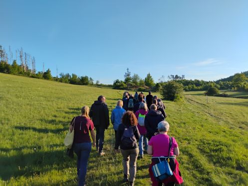 Bildungshaus Zeppelin & Steinberg e.V. - Bildungsurlaub Tourismus und Nachhaltigkeit im Harz