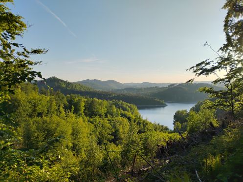 Bildungshaus Zeppelin & Steinberg e.V. - Bildungsurlaub Tourismus und Nachhaltigkeit im Harz