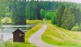 kurs