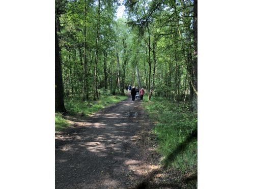 GLÜCKLICH BEWEGT | Body & Soul - Bildungsurlaub MOVE & SOUND | Küstenzeit –  Präsenz & Gelassenheit im Berufsalltag mit Nordic Walking, Tanz, Yoga und Stimmbildung (inkl. Kassenzuschuss)