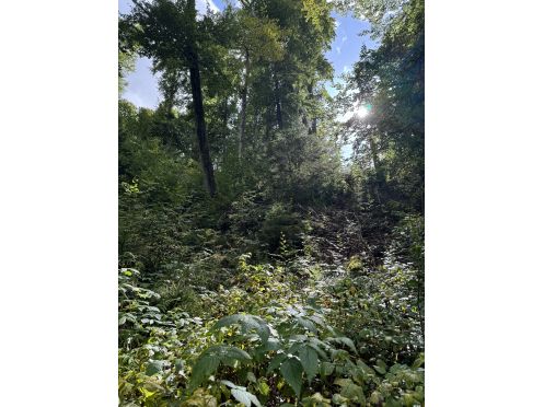 IBI Individualpsychologisches Bildungsinstitut - Bildungsurlaub Neue Wege – Naturnahe Pädagogik und Teambildung