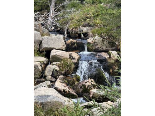 IBI Individualpsychologisches Bildungsinstitut - Bildungsurlaub Neue Wege – Naturnahe Pädagogik und Teambildung