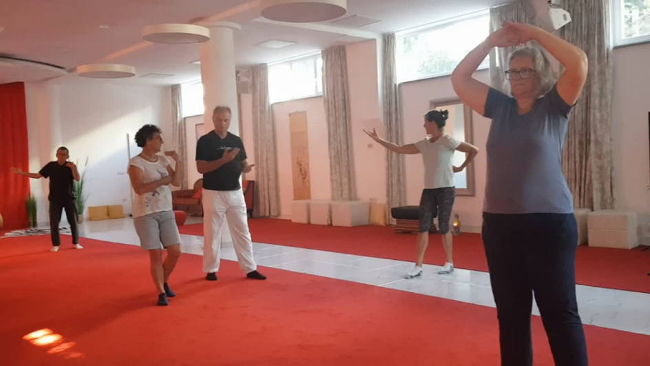 Snezana Sattler - Bildungsurlaub Wildgans (Da Yan) Qigong, Meditation und Bewegung am Meer für mehr Stresskompetenz & Mentalkraft