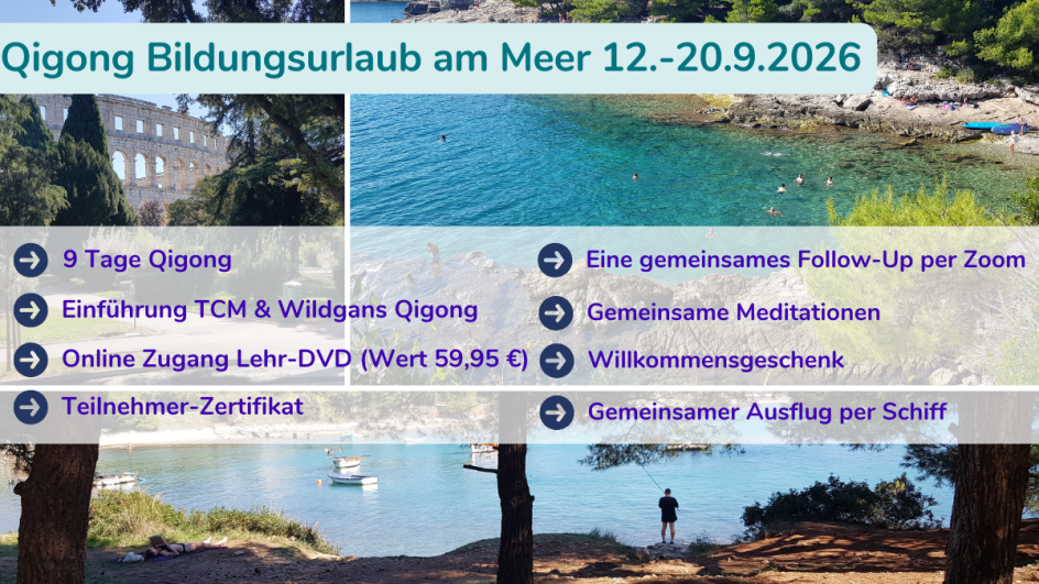 Snezana Sattler - Bildungsurlaub Wildgans (Da Yan) Qigong, Meditation und Bewegung am Meer für mehr Stresskompetenz & Mentalkraft