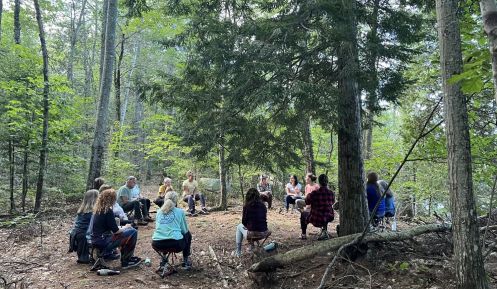 Praxis für Ayurveda Medizin & Yogatherapie - Bildungsurlaub Resilienz und Stressreduktion im Grünen – Yoga & Waldbaden für Beruf und Alltag