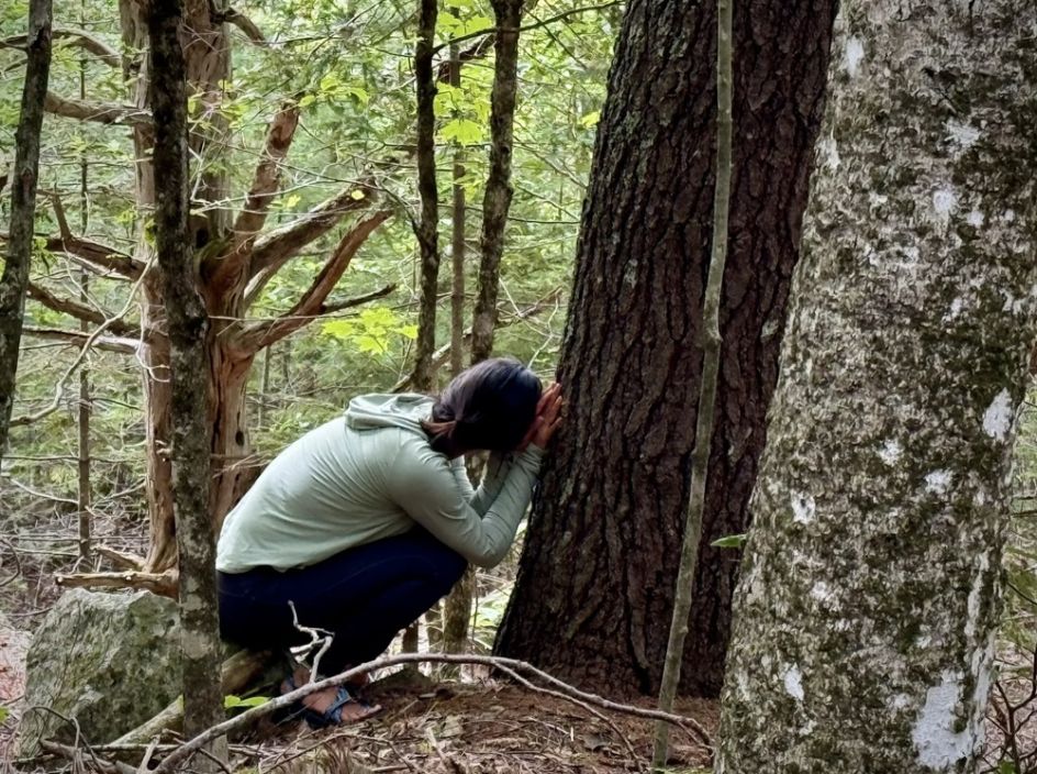 Praxis für Ayurveda Medizin & Yogatherapie - Bildungsurlaub Resilienz und Stressreduktion im Grünen – Yoga & Waldbaden für Beruf und Alltag
