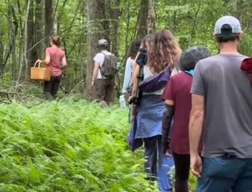 Praxis für Ayurveda Medizin & Yogatherapie - Bildungsurlaub Resilienz und Stressreduktion im Grünen – Yoga & Waldbaden für Beruf und Alltag