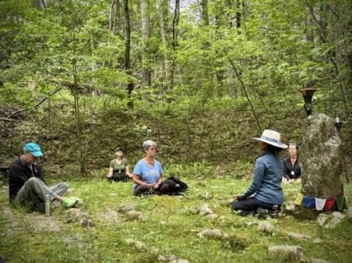 Praxis für Ayurveda Medizin & Yogatherapie - Bildungsurlaub Resilienz und Stressreduktion im Grünen – Yoga & Waldbaden für Beruf und Alltag