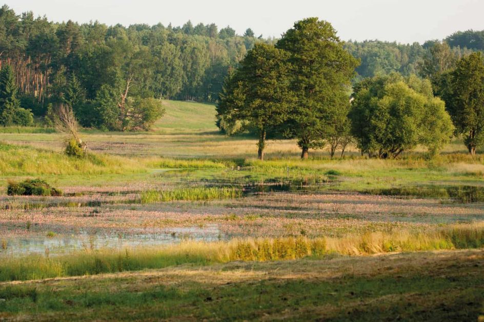 Praxis für Ayurveda Medizin & Yogatherapie - Bildungsurlaub Ressourcen stärken mit Yoga & Fasten – Bildungszeit für innere Stärke und Stressresilienz im Berufsalltag