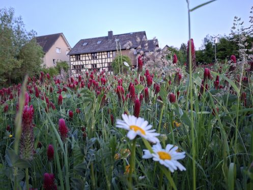 Arte Misia Wollewerkstatt - Bildungsurlaub Stresskompetenz & Gesundheitsbildung durch Naturerfahrung und kreatives Gestalte
