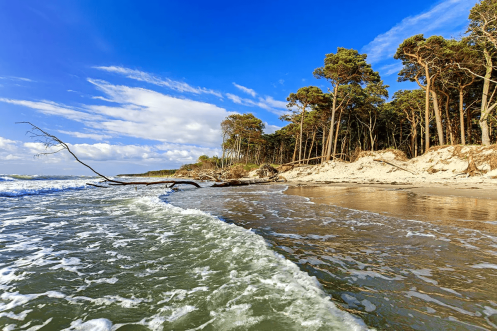 Campus Wissen GbR - Bildungsurlaub Ostsee Dierhagen (Darß): Fitbleiben im Beruf – Gesundheitskompetenz für erfahrene Berufstätige durch Ernährung, Bewegung, Prävention und Yoga. Strandwandern im Goldenen Herbst