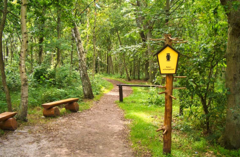 Campus Wissen GbR - Bildungsurlaub Wandern im Müritz-Nationalpark: Fitbleiben im Beruf – Gesundheitskompetenz für erfahrene Berufstätige durch Ernährung, Bewegung, Stressprävention und Yoga im Weltnaturerbe an der Müritz!