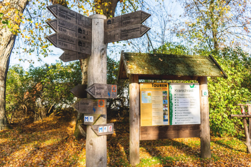 Campus Wissen GbR - Bildungsurlaub Wandern im Müritz-Nationalpark: Fitbleiben im Beruf – Gesundheitskompetenz für erfahrene Berufstätige durch Ernährung, Bewegung, Stressprävention und Yoga im Weltnaturerbe an der Müritz!