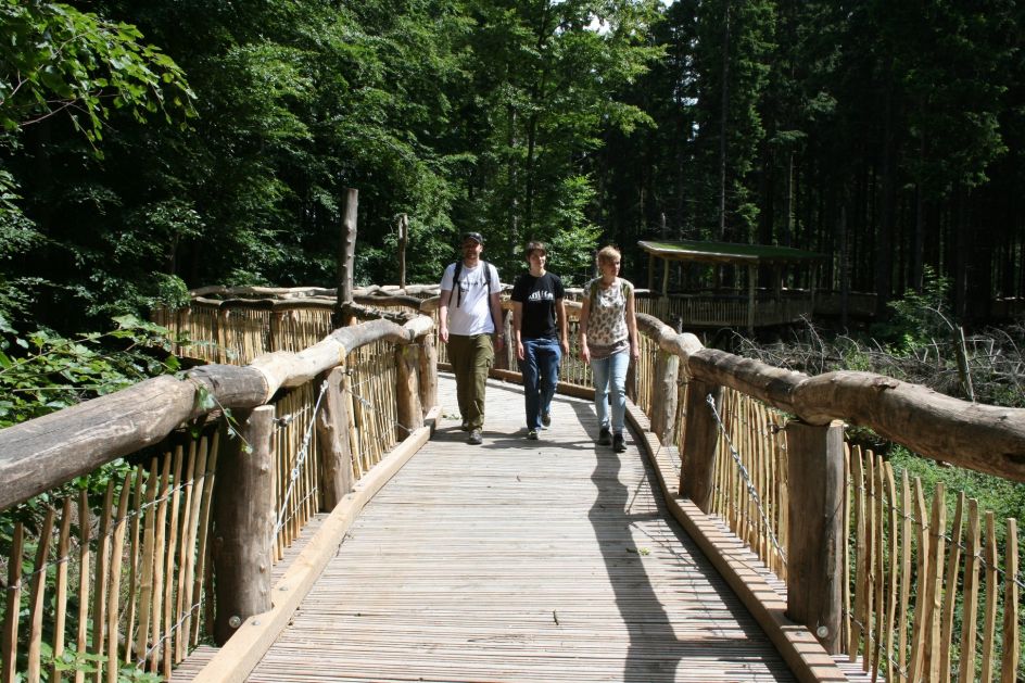 Campus Wissen GbR - Bildungsurlaub Wandern im Nationalpark Eifel: Fitbleiben im Beruf – Gesundheitskompetenz für erfahrene Berufstätige durch Ernährung, Bewegung, Stressprävention und Yoga