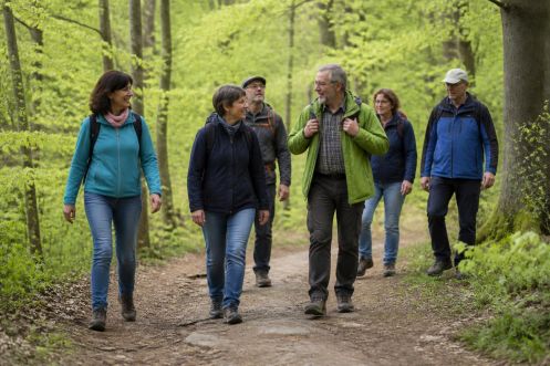 Campus Wissen GbR - Bildungsurlaub Wandern im Frühling durch den Nationalpark Hainich: Fitbleiben im Beruf – Gesundheitskompetenz für erfahrene Berufstätige durch Ernährung, Bewegung, Stressprävention und Yoga
