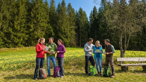 Campus Wissen GbR - Bildungsurlaub Wandern im Frühling durch den Nationalpark Hainich: Fitbleiben im Beruf – Gesundheitskompetenz für erfahrene Berufstätige durch Ernährung, Bewegung, Stressprävention und Yoga