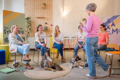 kurs