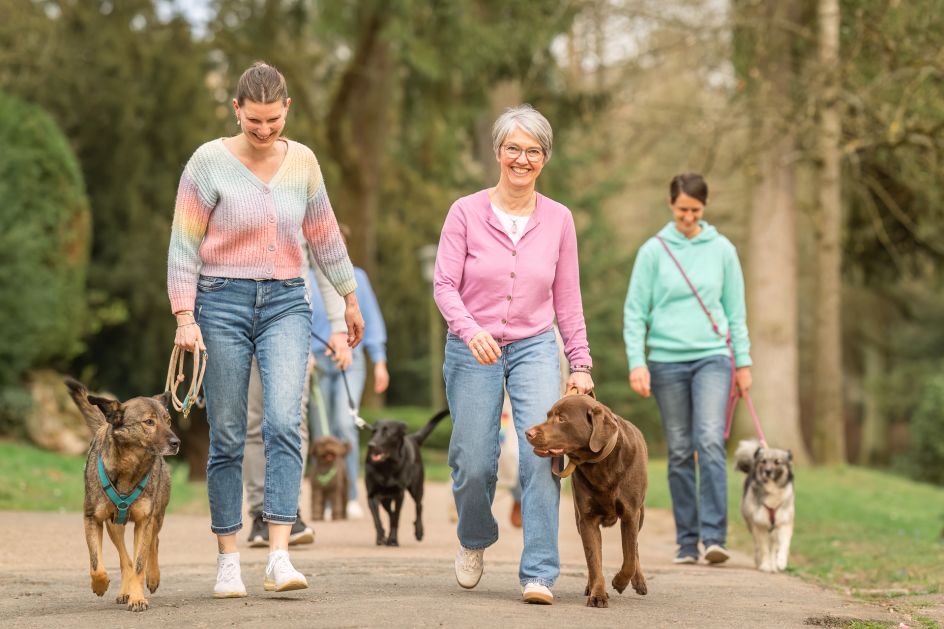 ZEIT HUND RAUM - Bildungsurlaub Resilienz & Positive Psychologie – Bildungsurlaub mit Hund