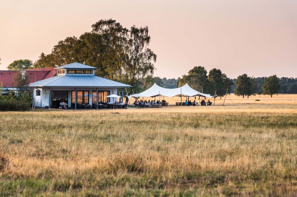 MamaSport GmbH - Bildungsurlaub Frauen in Balance – Hormonellen Wandel in der Peri-/Menopause kompetent im Berufsalltag begleiten