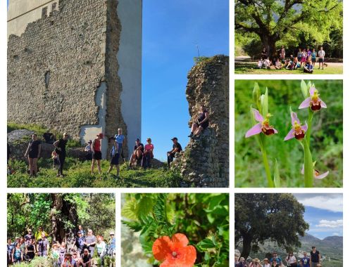 Academia Pradoventura - Bildungsurlaub Termine 2027: Spanisch-Superintensivkurs für alle Niveaus + Wandern im Naturpark Sierra de Grazalema in Andalusien 1 Woche