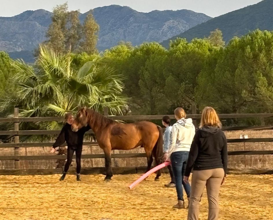 Academia Pradoventura - Bildungsurlaub Termine 2027: Spanisch & pferdegestütztes Coaching in Andalusien (Bildungsurlaub)