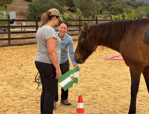 Academia Pradoventura - Bildungsurlaub Termine 2027: Spanisch & pferdegestütztes Coaching in Andalusien (Bildungsurlaub)