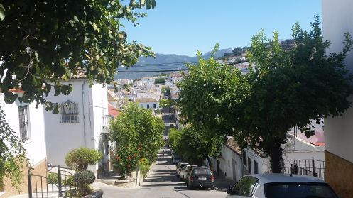 Academia Pradoventura - Bildungsurlaub Termine 2027: Spanisch & pferdegestütztes Coaching in Andalusien (Bildungsurlaub)