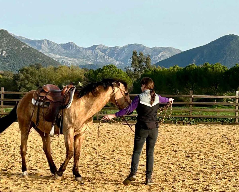 Academia Pradoventura - Bildungsurlaub Termine 2027: Spanisch & Horsemanship (Bildungsurlaub)