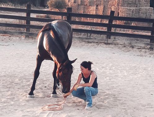 Academia Pradoventura - Bildungsurlaub Termine 2027: Spanisch & Horsemanship (Bildungsurlaub)