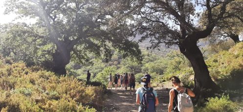 Academia Pradoventura - Bildungsurlaub Termine 2027: Spanisch-Bildungsurlaub in Andalusien: 2 Wochen mit Wandern und Tapas-Kochkurs