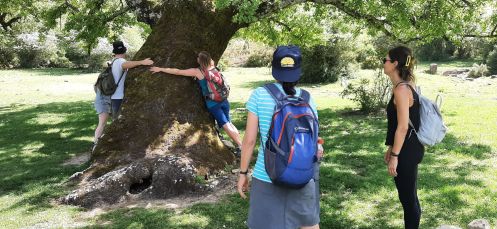 Academia Pradoventura - Bildungsurlaub Termine 2027: Spanisch-Bildungsurlaub in Andalusien: 2 Wochen mit Wandern und Tapas-Kochkurs