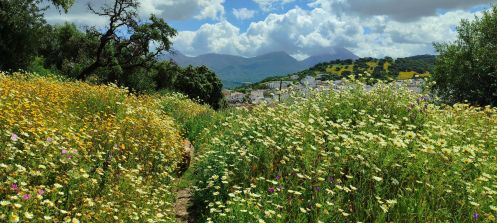 Academia Pradoventura - Bildungsurlaub Termine 2027: Spanisch-Bildungsurlaub in Andalusien: 2 Wochen mit Wandern und Tapas-Kochkurs